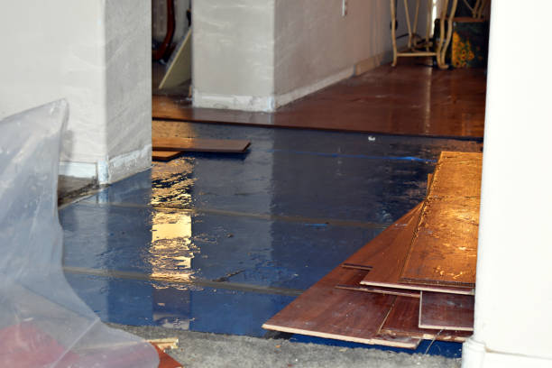 Professional Sewage Cleanup technician working in Inkster, MI